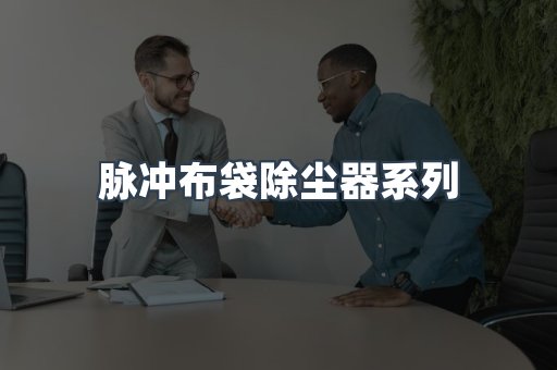 脉冲布袋除尘器系列