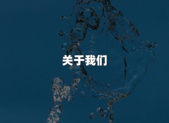 关于我们